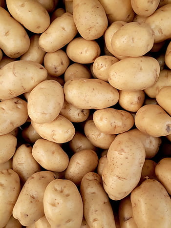 A close-up view of fresh organic potatoes piled together, showcasing natural texture and freshness. HD phone wallpaper