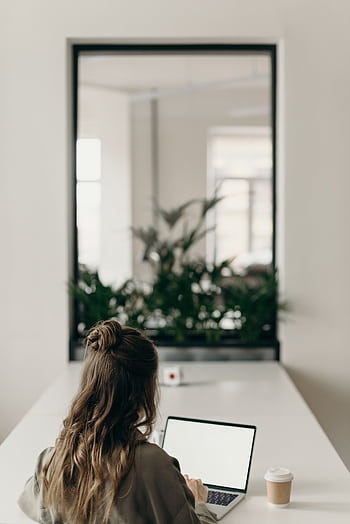 A woman with curly hair works on a laptop, facing a window with plants, symbolizing remote work. HD phone wallpaper