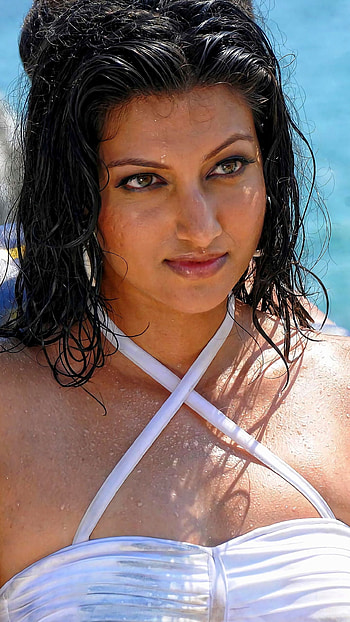 Hamsa Nandini, hamsa, telugu actress HD phone wallpaper