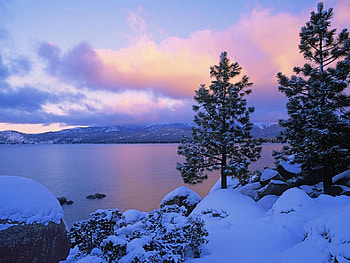 Nature, Stones, Pine, Lake, Shore, Bank HD wallpaper