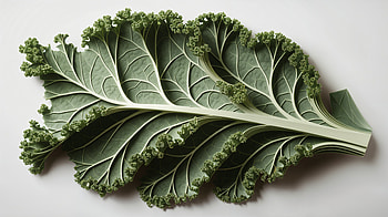 Vibrant Kale: A Stunning Ultra, kale, vegetable, healthy eating HD wallpaper