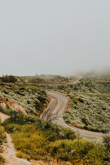 Nature, Grass, Road, Markup, Fog, Winding, Sinuous HD phone wallpaper