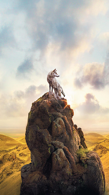 Wolf Totem (2022) movie HD phone wallpaper