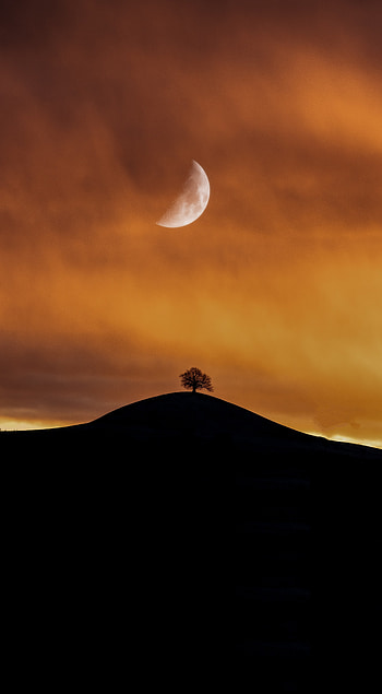 Silhouette, hill, sun, yellow sky, dusk, sunset HD phone wallpaper