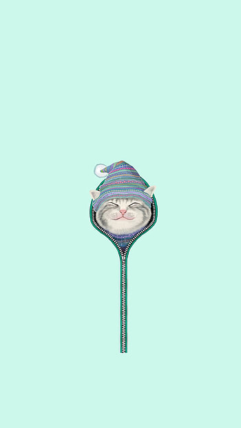 Funny Cat Zipper Fur Cap Hat 6+ - http:// HD phone wallpaper