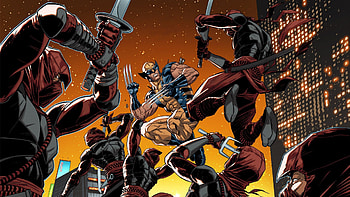 WOLVERINE, COMICS, KICKING ASS, FIGHTING HD wallpaper