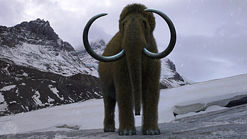Colin Shulver's mammoth, Shulver's artwork, Colin Shulver's illustration, Mammoth sculpture HD wallpaper