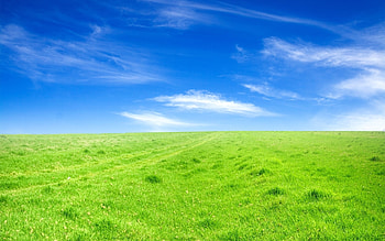 Landscape, Fields HD wallpaper
