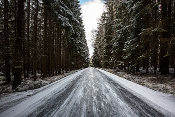 Winter, Nature, Trees, Pine, Snow, Road, Forest HD wallpaper