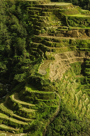 Stunning aerial view of Banaue rice terraces in the Philippines, showcasing nature and agriculture. HD phone wallpaper