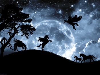 Fantasy night, night, blue, white, horse, pegasus, summer, moon, fantasy, unicorn, luna, luminos, silhouette HD wallpaper