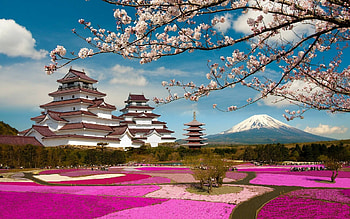 Tsuruga Castle, Japan HD wallpaper