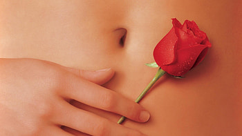American Beauty, American suburbs, Beauty in the ordinary, Life's hidden layers HD wallpaper