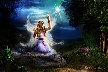 Star Catcher, star, night, wings, trees, sky, angel, rock HD wallpaper