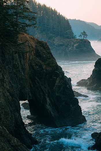 Nature, Sea, Rocks, Forest, Fir, Spruce, Arch HD phone wallpaper
