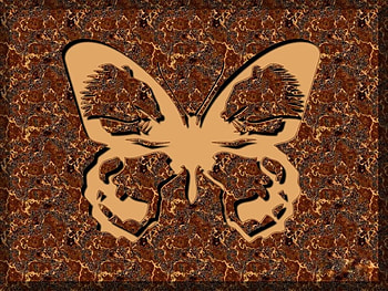 Mirage, brown, abstract, butterfly, outline HD wallpaper
