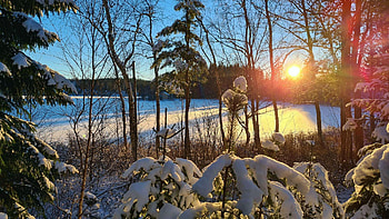 Lekeryd, Smaland, Sweden, frozen, snow, lake, winter, trees, sun HD wallpaper
