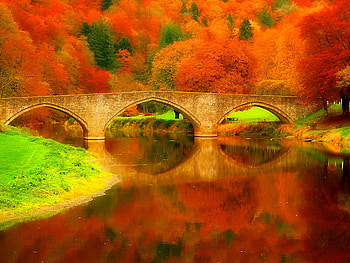 Autumn symmetry, river, brigde, colorful, reflection, colors, autumn, nature, water HD wallpaper