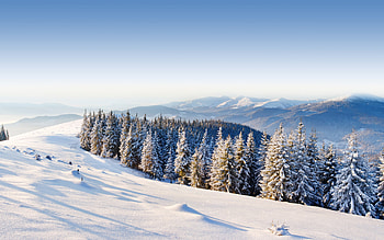 Winter, Gorgeous , resolution, Frosty season HD wallpaper