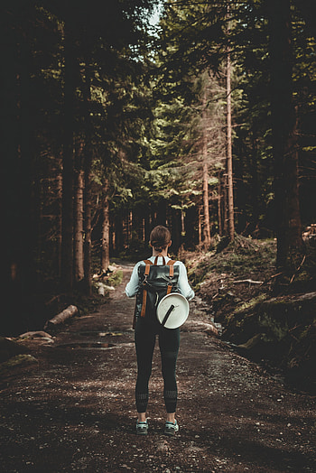 Miscellanea, Miscellaneous, Forest, Path, Girl, Backpack, Rucksack, Back HD phone wallpaper
