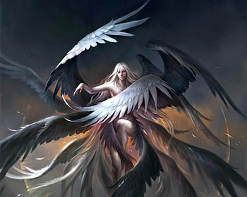 Worm The Simurgh, wings, white, black, art, man, angel, feather, sandara, fantasy HD wallpaper