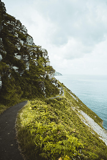 Sea, Nature, Grass, Coast, Path, Slope HD phone wallpaper