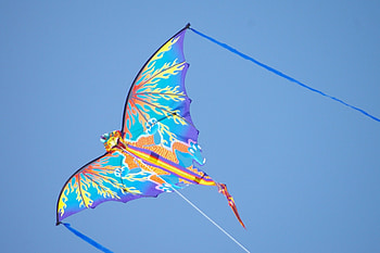 Kite Flying, Kite , , Surfing HD wallpaper