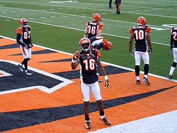 Glenn Holt, Cincinnati Bengals HD wallpaper