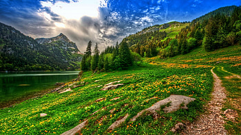 Spring in the Alps, Switzerland, sky, flowers, meadow, blossoms, landscape HD wallpaper