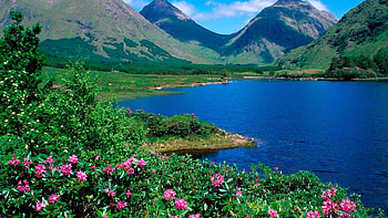 Springtime at the lake, trees, flowers, hills, mountains, rocks HD wallpaper
