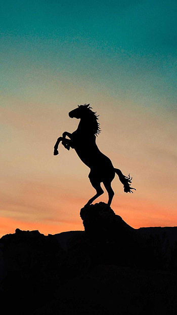 Horse HD phone wallpaper