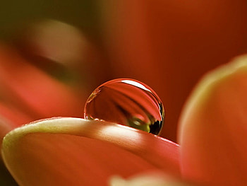 Beauty of Nature, cool, graphy HD wallpaper