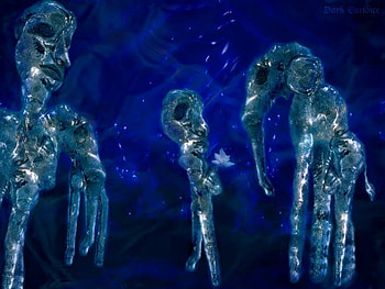 Ice Rose, blue, flower, elephant, face, stars, figures HD wallpaper