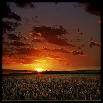 Natural Beauty, field, clouds, sky, sunset, crop HD wallpaper