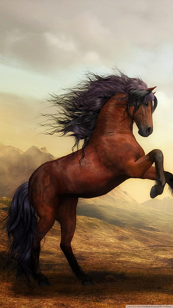 Running Horse Mobile, Beautiful Horse HD phone wallpaper