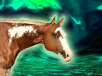 The Paint, horses, pretty scenes, nature, ponies, ocean HD wallpaper