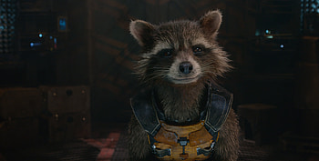 Guardians of the Galaxy, Rocket Raccoon HD wallpaper