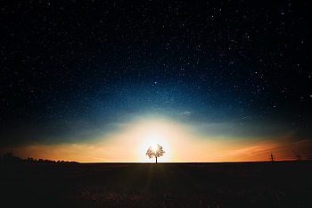 Tree Dark Landscape , tree, landscape, nature, dark, graphy HD wallpaper