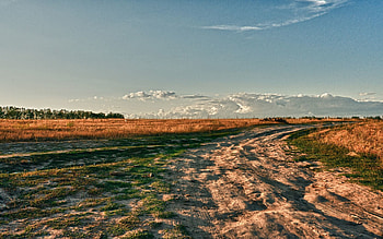 Nature, Road, Turn, Color, Colors, Country, Countryside HD wallpaper