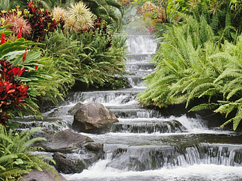 waterfall, natural, beautiful HD wallpaper