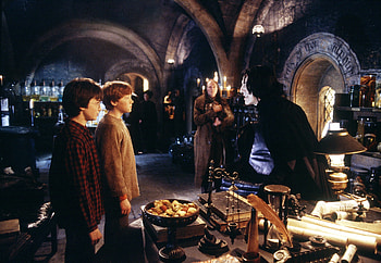 Harry Potter, Movie, Harry Potter And The Chamber Of Secrets, Daniel Radcliffe, Ron Weasley, Rupert Grint HD wallpaper