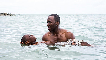 Moonlight (2022) movie HD wallpaper