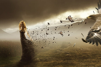 Bird, abstract, bird, fantasy, , woman HD wallpaper