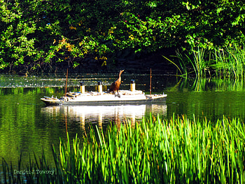 Cormorant On Titannic, titannic, the visionary folk grapher, daniel j towsey HD wallpaper