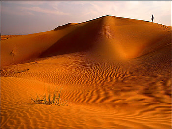 Arabian red sands, sand, deserts, sands, red, desert, arabian, nature, arabia HD wallpaper