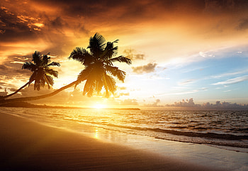 beach, sunrse, nature, sunset, ocean HD wallpaper