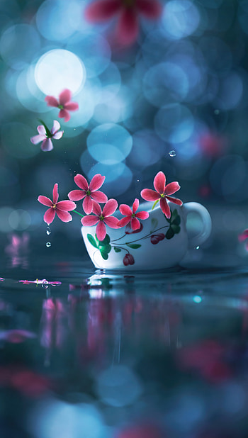 Pink flowers, blue, vase HD phone wallpaper