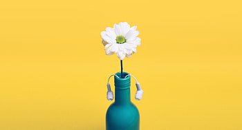 Heads, Minimalism, Daisy, Bottle HD wallpaper