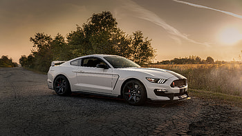 Shelby Gt 350 R, shelby, vintage-cars, cars HD wallpaper