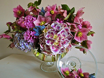 * Still life *, life, flower, nature, flowers, still HD wallpaper